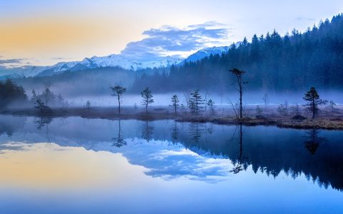 Nature Landscape Forest Mountain