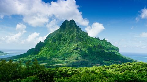 Nature Landscape Forest Mountain