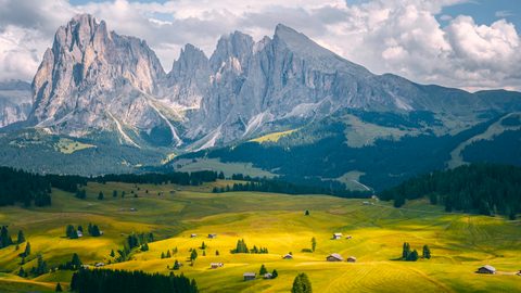 Nature Landscape Forest Mountain