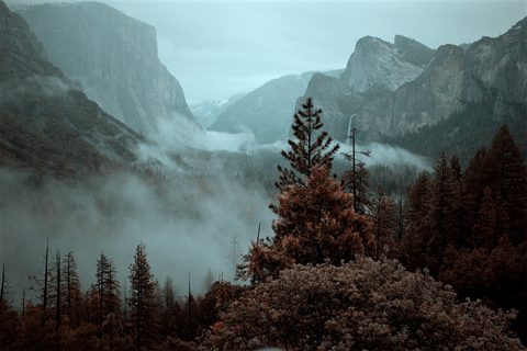 Nature Landscape Forest Mountain