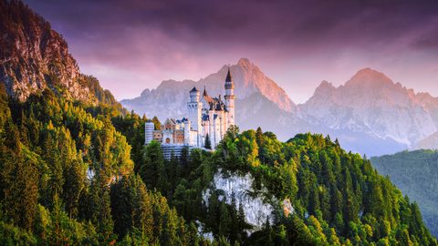 Nature Landscape Forest Mountain