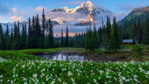 Nature Landscape Forest Mountain