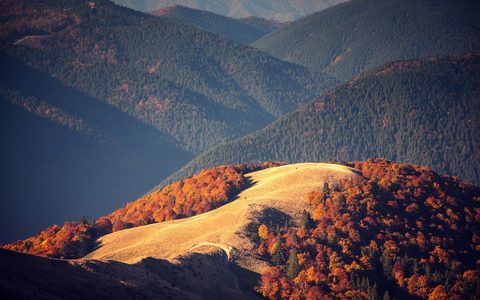 Nature Landscape Forest Mountain