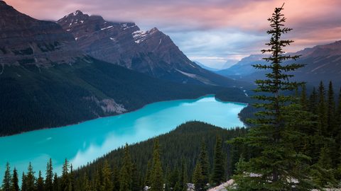 Nature Landscape Forest Mountain
