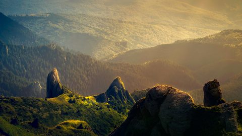 Nature Landscape Forest Mountain
