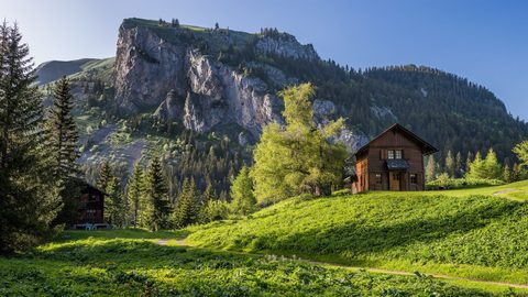 Nature Landscape Forest Mountain