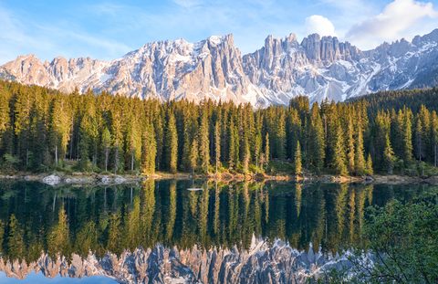 Nature Landscape Forest Mountain