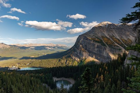 Nature Landscape Forest Mountain