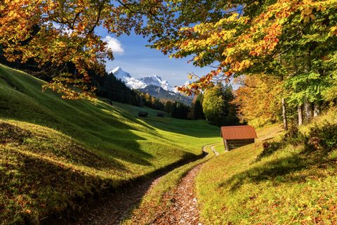 Nature Landscape Forest Mountain