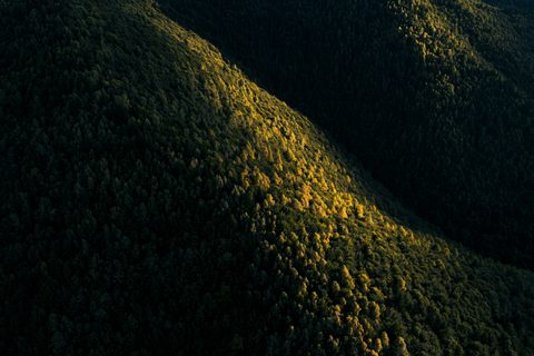 Nature Landscape Forest Mountain