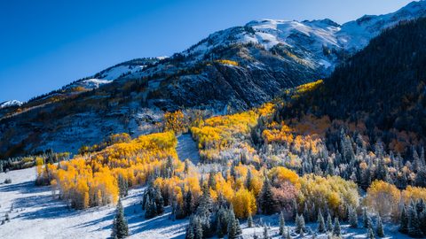Nature Landscape Forest Mountain