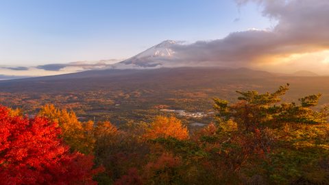 Nature Landscape Forest Mountain