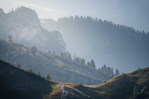 Nature Landscape Forest Mountain