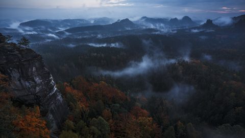 Nature Landscape Forest Mountain