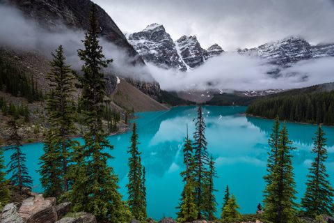 Nature Landscape Forest Mountain