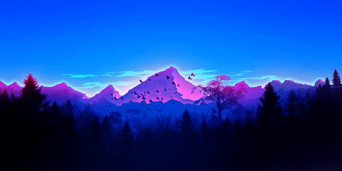 Nature Landscape Forest Mountain