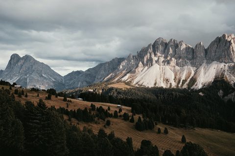 Nature Landscape Forest Mountain
