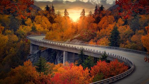 Nature Landscape Forest Mountain