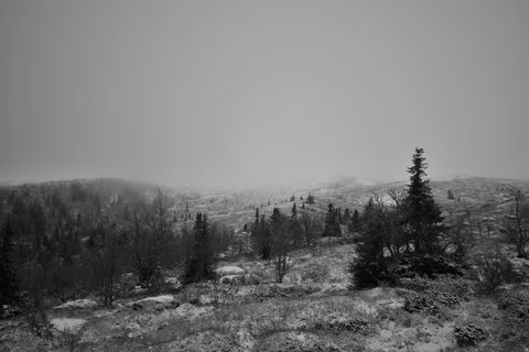Nature Landscape Forest Mountain