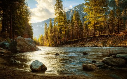 Nature Landscape Forest Mountain