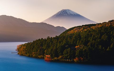 Nature Landscape Forest Mountain