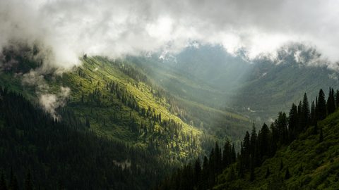 Nature Landscape Forest Mountain