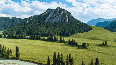 Nature Landscape Forest Mountain