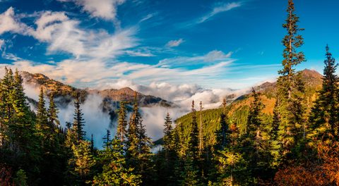 Nature Landscape Forest Mountain