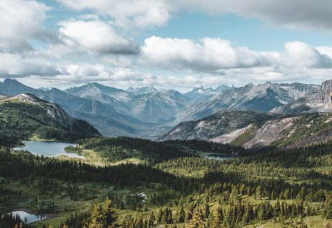 Nature Landscape Forest Mountain