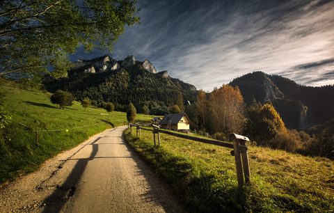 Nature Landscape Forest Mountain