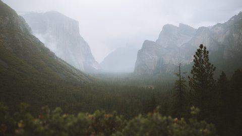 Nature Landscape Forest Mountain