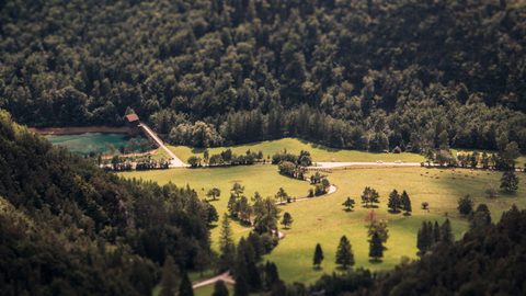 Nature Landscape Forest Mountain