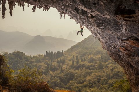 Nature Landscape Forest Mountain