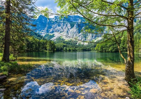 Nature Landscape Forest Mountain