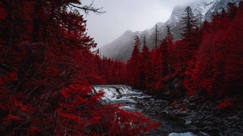 Nature Landscape Forest Mountain