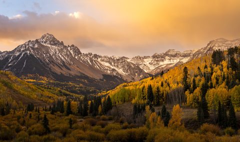 Nature Landscape Forest Mountain
