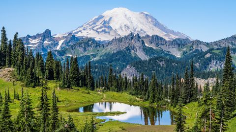 Nature Landscape Forest Mountain