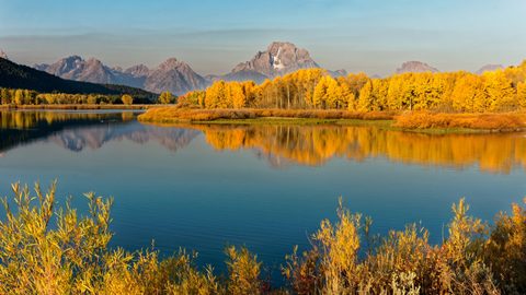 Nature Landscape Forest Mountain