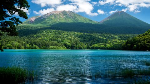 Nature Landscape Forest Mountain