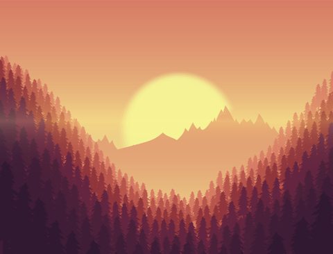 Nature Landscape Forest Mountain