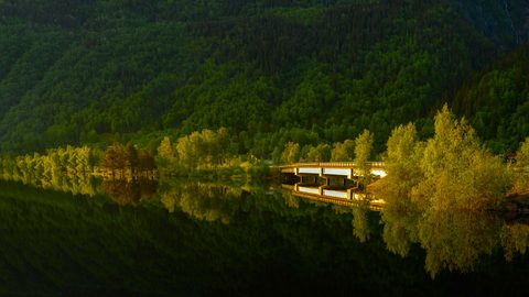 Nature Landscape Forest Mountain