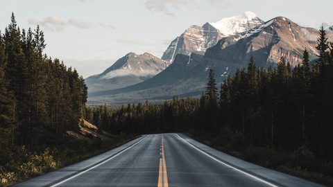 Nature Landscape Forest Mountain