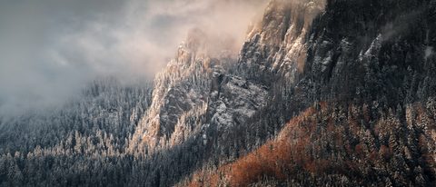 Nature Landscape Forest Mountain
