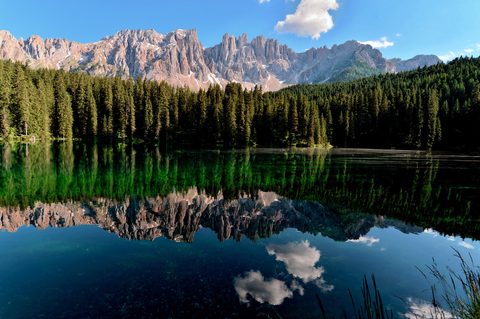 Nature Landscape Forest Mountain