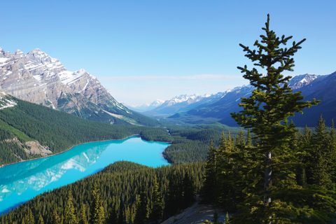 Nature Landscape Forest Mountain