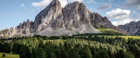Nature Landscape Forest Mountain