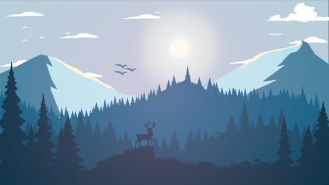 Nature Landscape Forest Mountain