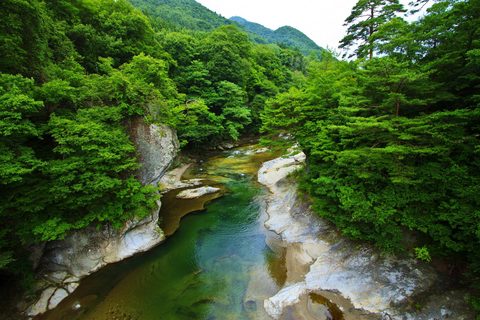Nature Landscape Forest Mountain