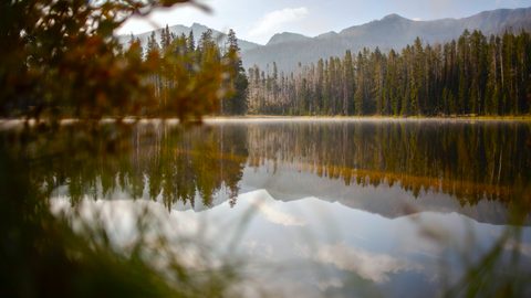 Nature Landscape Forest Mountain
