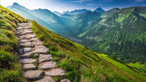 Nature Landscape Forest Mountain